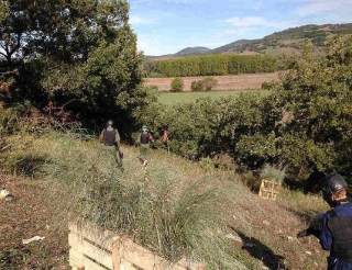 Por el campo.jpg